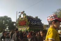 آیین نخل‌برداری ۲۸ صفر در سرایان برگزار شد