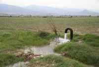 صرفهجویی ۲۷ میلیون مترمکعبی آب در بخش کشاورزی خراسان جنوبی صرفهجویی ۲۷ میلیون مترمکعبی آب در بخش کشاورزی خراسان جنوبی