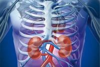 عفونت ادراری در کودکان؛ زنگ خطری جدی برای سلامت کلیه‌ها