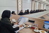 دوره آموزشی روزنامه‌نگاری نوین در خراسان جنوبی به ایستگاه نهایی رسید