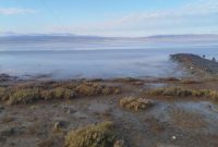 بازگشت زندگی به قلب کویر/ آبگیری ۵۰ درصدی تالاب کجی نمکزار نهبندان