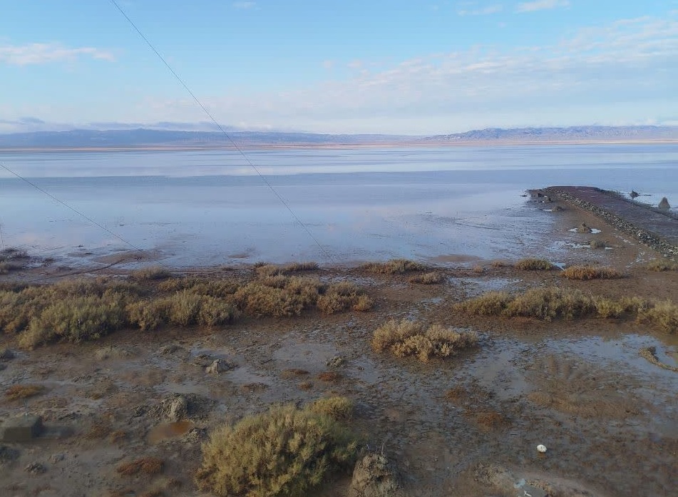 بازگشت زندگی به قلب کویر/ آبگیری ۵۰ درصدی تالاب کجی نمکزار نهبندان