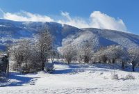 بارش گسترده برف در خراسان جنوبی؛ تردد در همه محورهای استان برقرار است