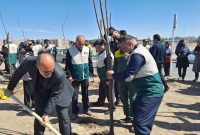 غرس نهال مقاومت در خراسان جنوبی/ راه شهید با آبادانی کشور ادامه دارد