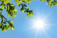 هشدار زرد هواشناسی خراسان جنوبی؛ دمای هوا 5 درجه افزایش می‌یابد